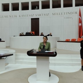 Şafak Pavey'in Mecliste AB Bütçe Görüşmelerindeki Konuşması