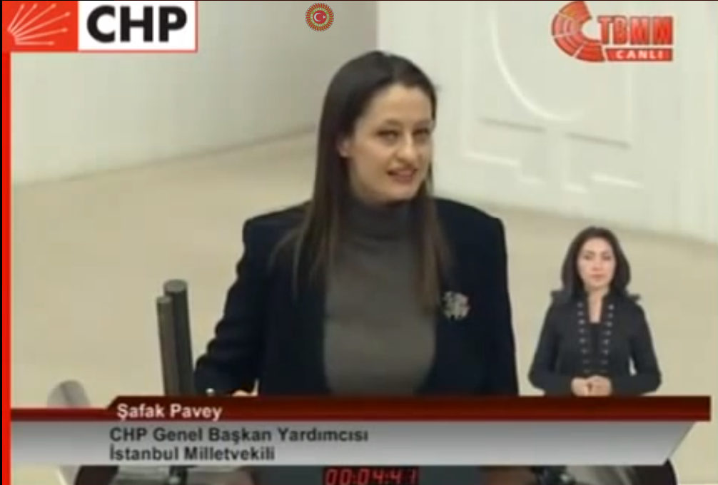 Şafak Pavey’in Mecliste Suriye Krizi Hakkında Konuşması