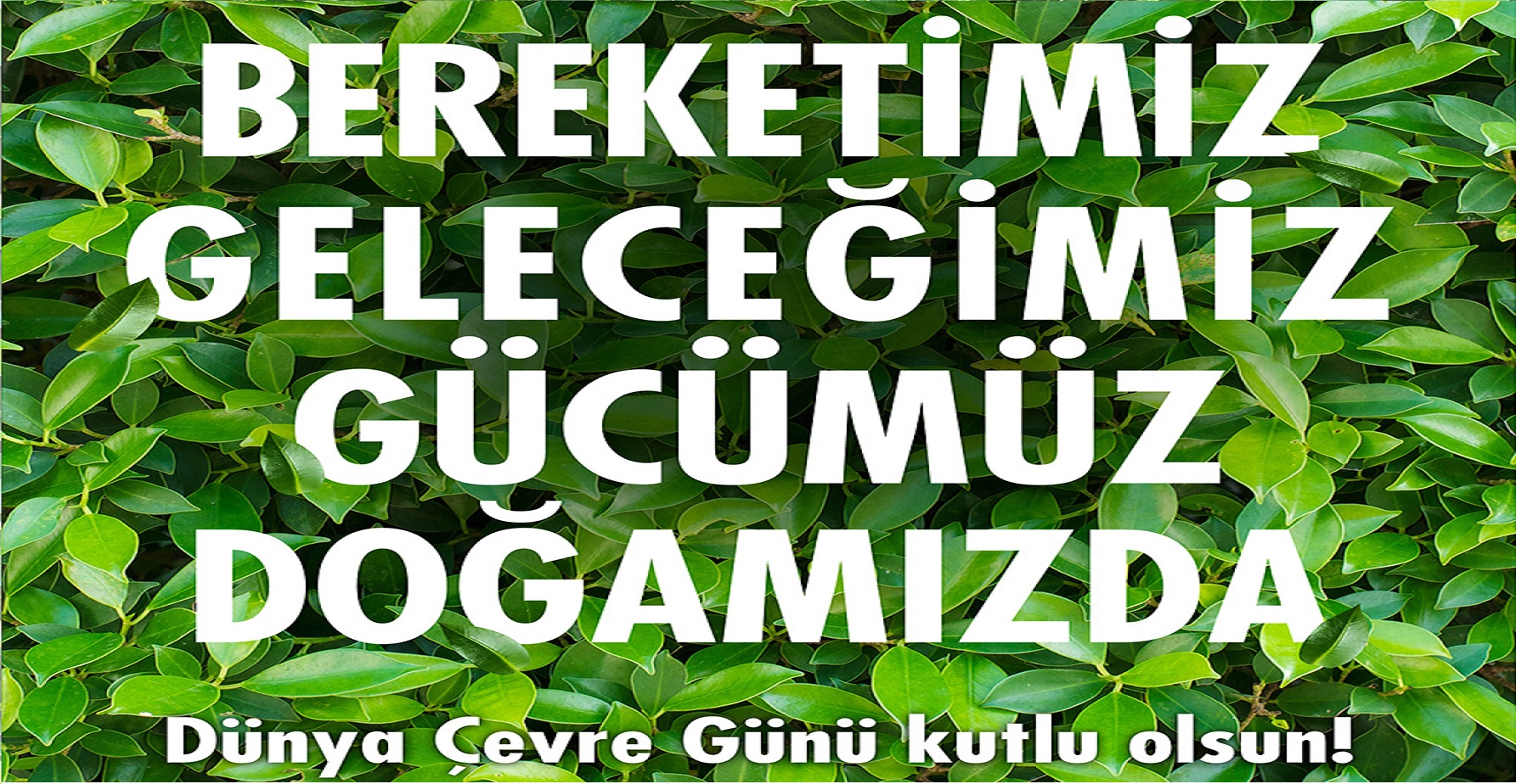 Dünya Çevre Gününde Bu Ülkeye Kıyamayanlardan Biri Olarak