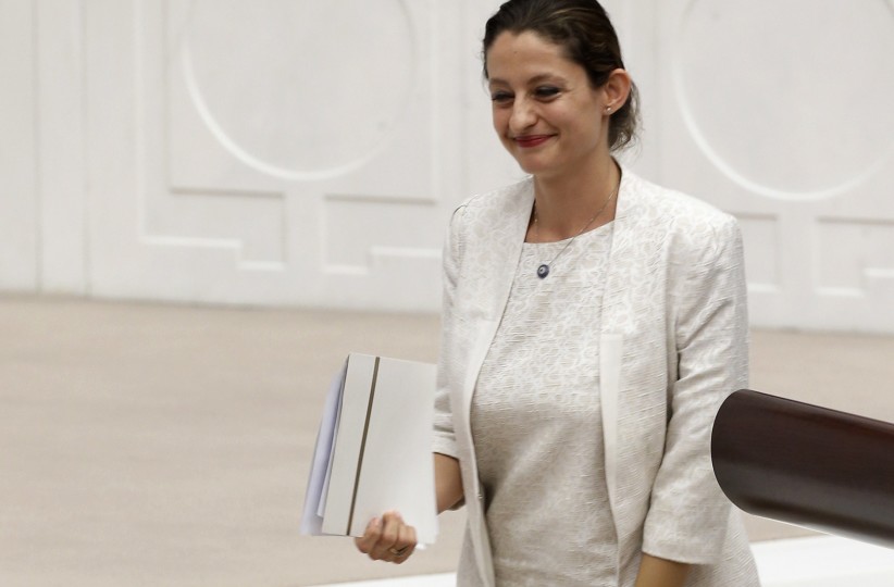 After Occupy Gezi, a New (Secular) Leader for Young Turks